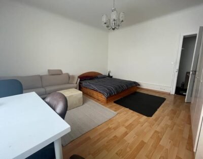 Spacious Room in Basel