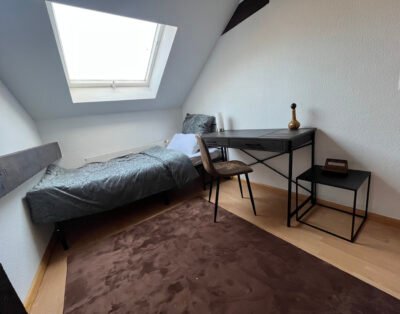 Convenient room in basel, Optimal location