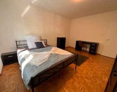 Großes Zimmer Basel City (SBB & Messe)