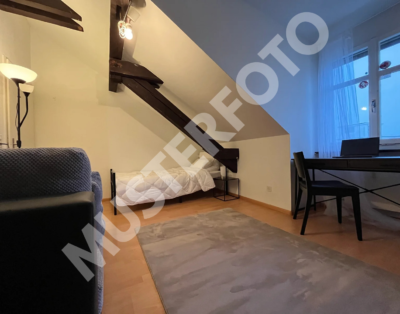 WG-Zimmer Basel Messe & Bad. Bahnhof | All-Inclusive