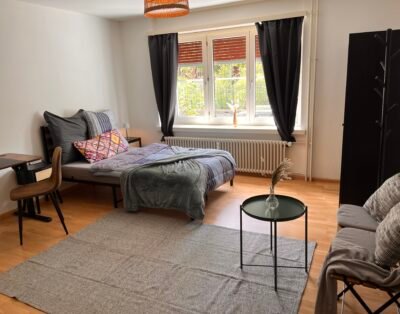 Zimmer Basel City möbliert